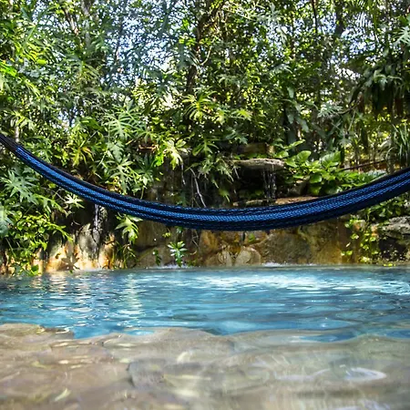 La Selva Mariposa Bed & Breakfast